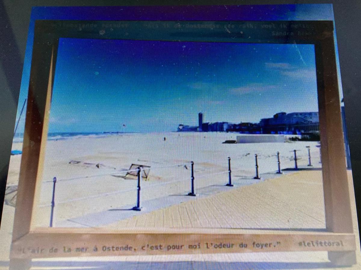 Tiny Apt W/ Balcony And Seaview, Even Out Of Your Bed ! Ostenda Zewnętrze zdjęcie
